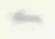 Espresine-RAW (1)_page-0001.jpg