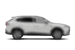 MG HS HEV 2 kWh