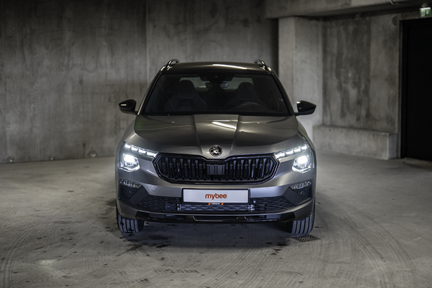 Škoda Kamiq Monte Carlo
