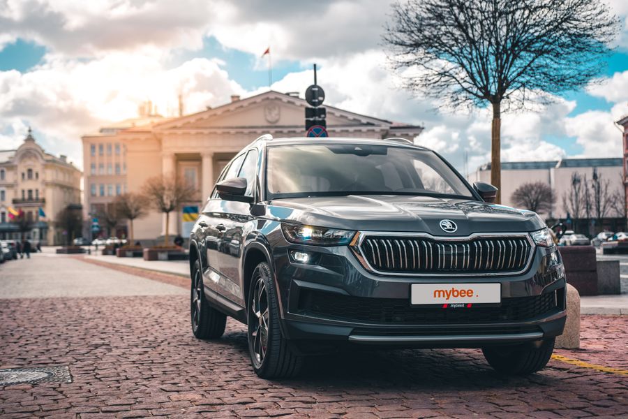 Automobilis išlieka statuso simboliu, tačiau vis dažniau laimi kaina ir patogumas
